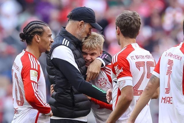 1695575602896062784.jpg 1695575602896062784.jpg